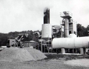 Vintage image of the plant